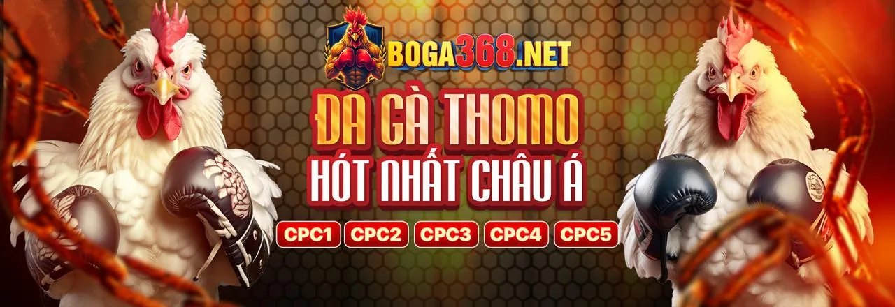 Đá Gà Trực Tiếp vl88 Nổ Hũ 2026